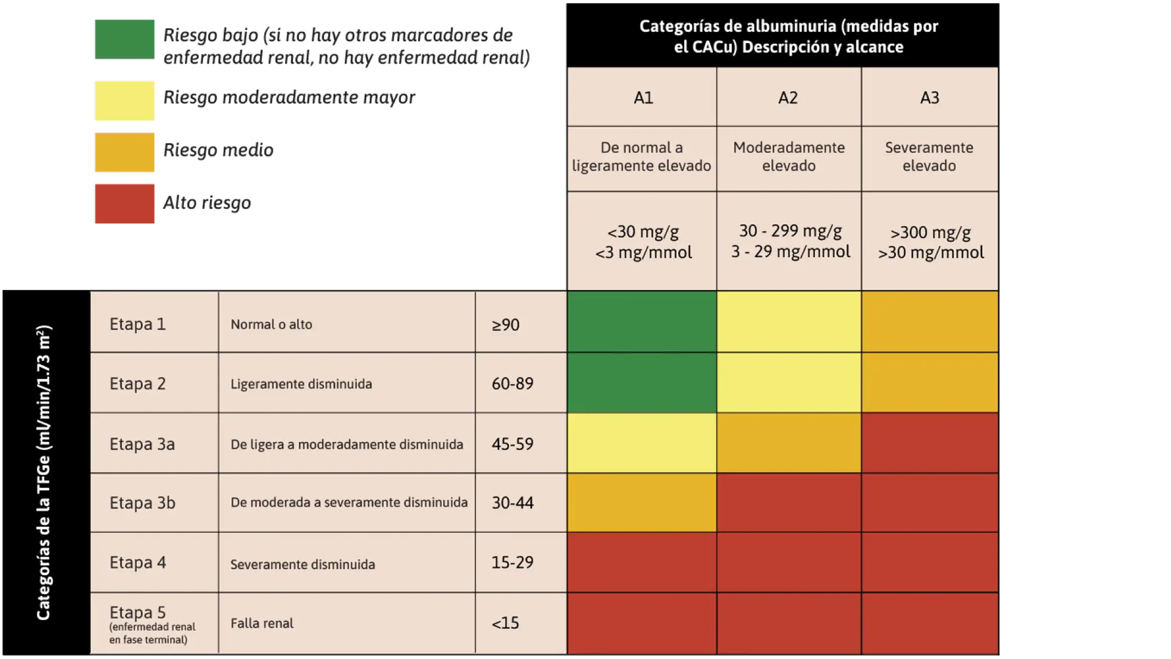 Cuadro informativo sobre el riesgo de las fases de la enfermedad renal crónica